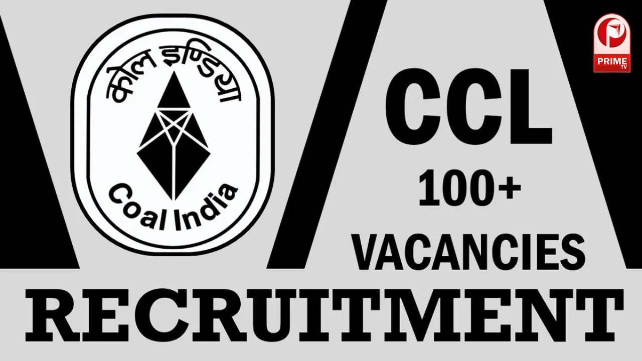 CCL Recruitment 2023, 261 Posts, 23-12-2023 Last Date