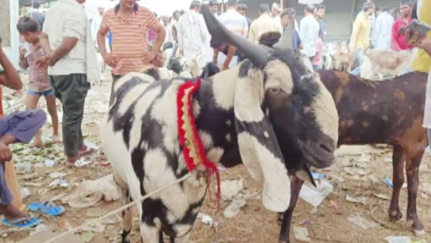 प्रतीकात्मक इमेज