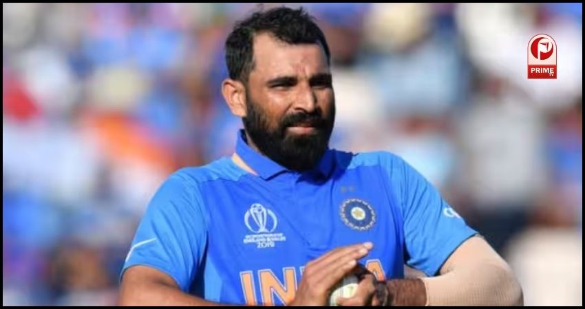 mohammad shami