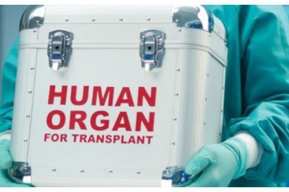 Transportation of Organ