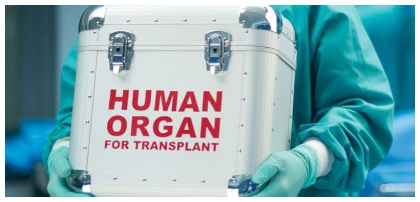 Transportation of Organ