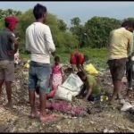 fake garlic on India-Nepal border