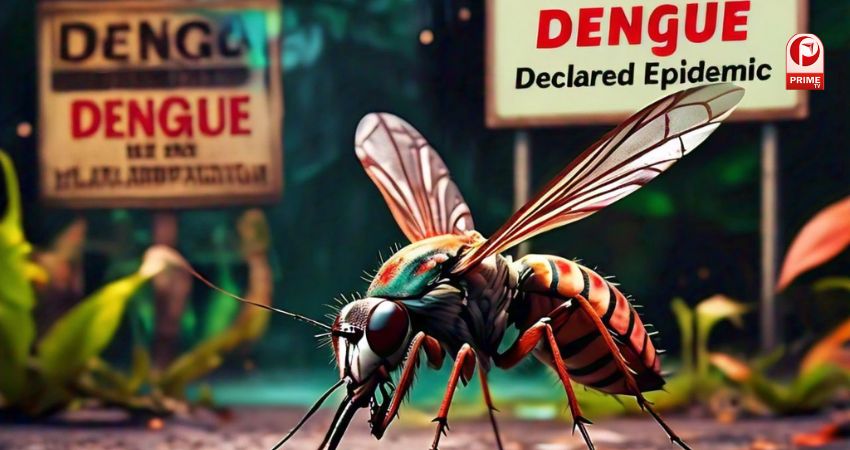 Karnataka government declared dengue as an epidemic