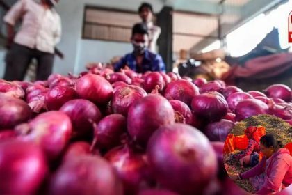 Onion Price Hike