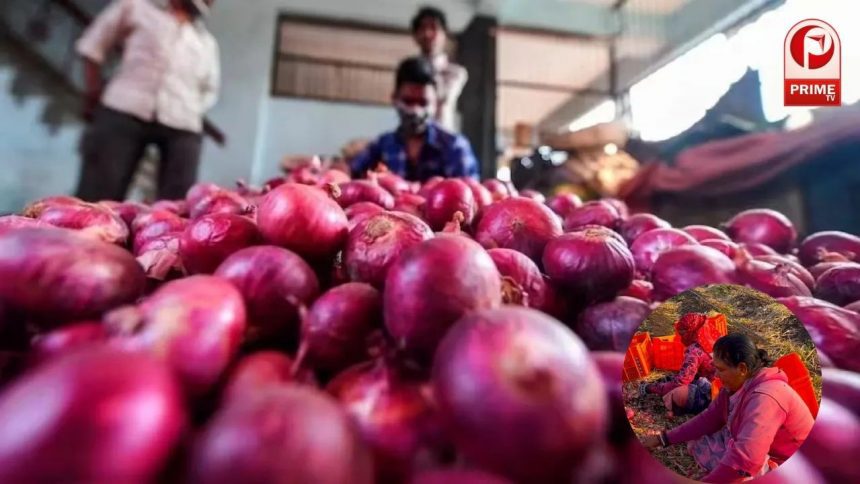 Onion Price Hike