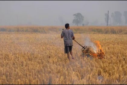 india stubble burning,