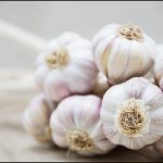 Chinese Garlic