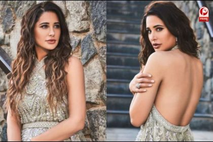 Nargis Fakhri Sister Arrested