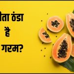 पपीता ठंडा होता है कि गरम?