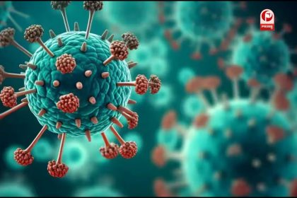 What is HMPV virus?