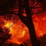 California Fire News