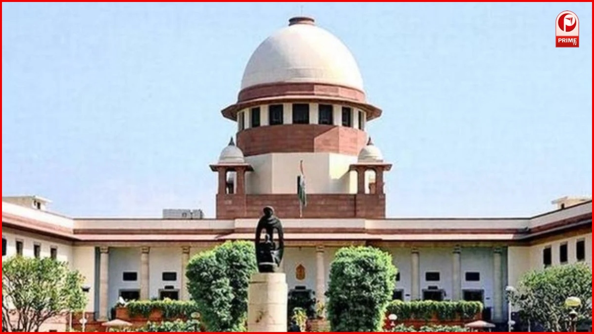 CEC Act 2023