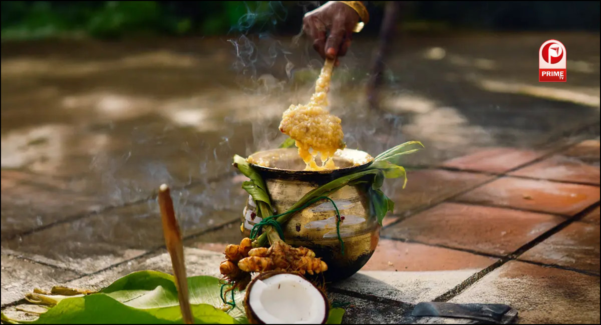Pongal 2026