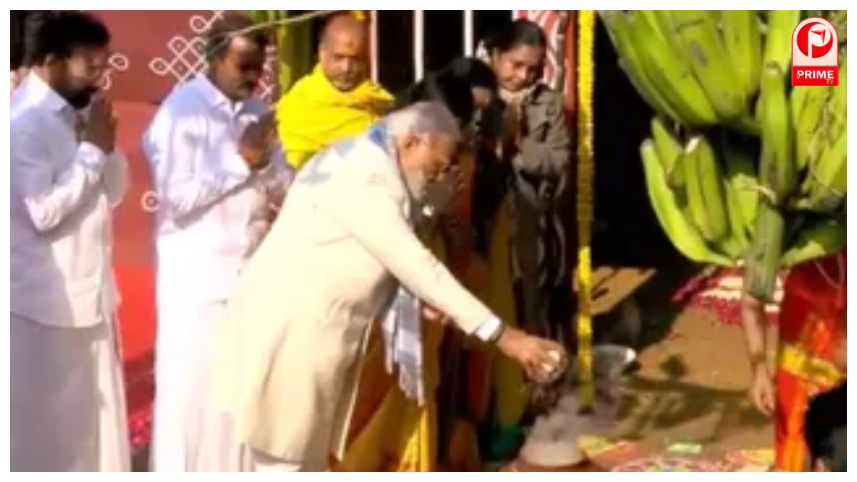 Pongal Festival