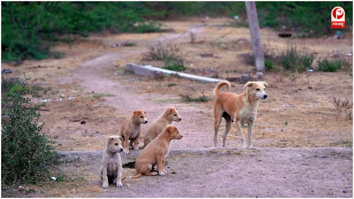 Telangana Horror