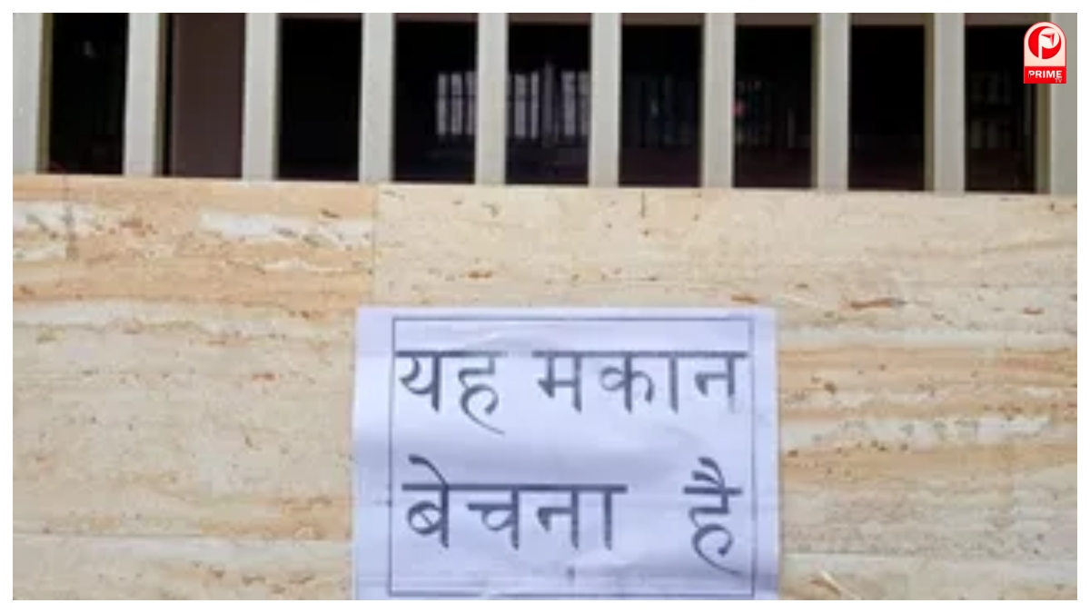 UP News