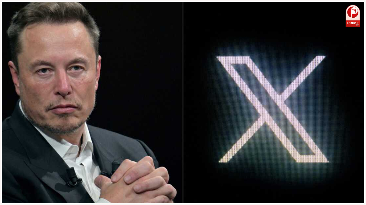 Elon Musk vs EU