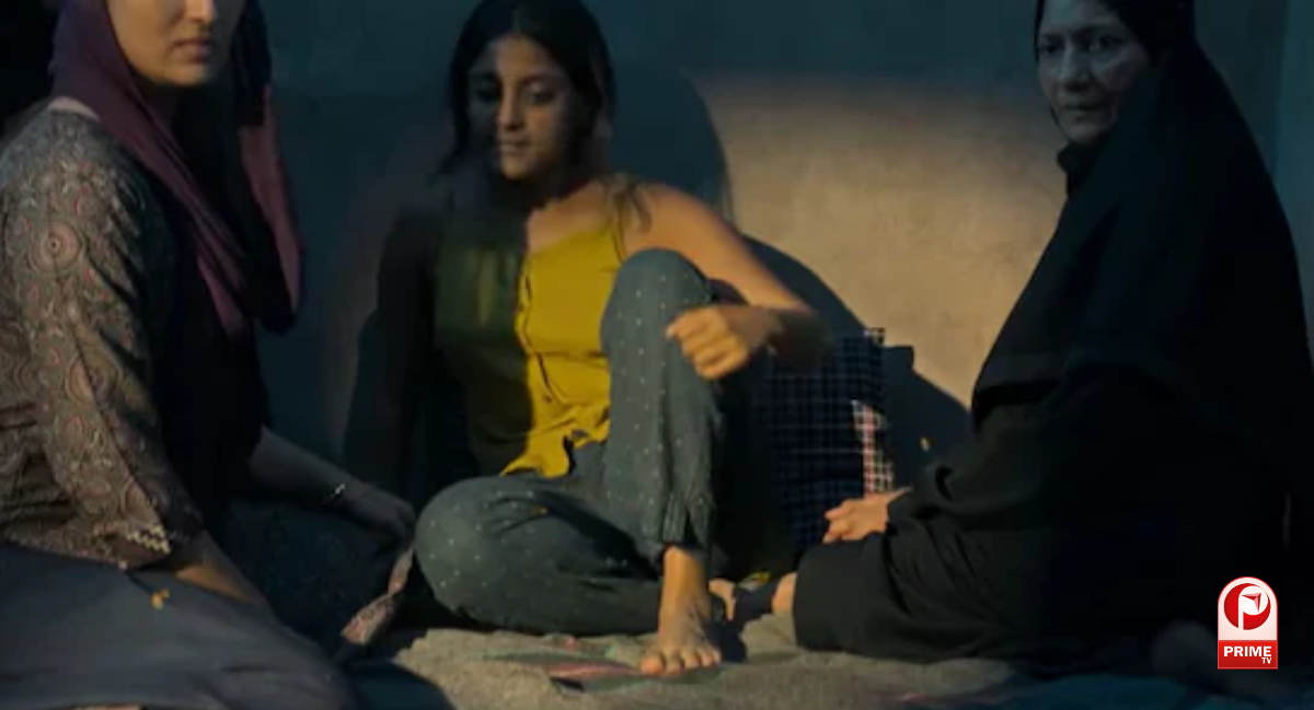 The Kerala Story 2 Collection