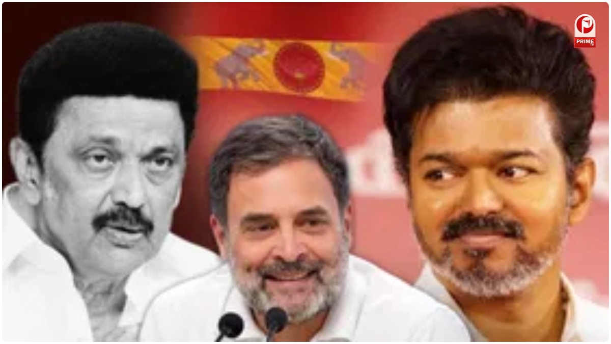 Congress TVK Vijay