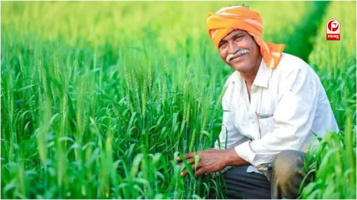 हरियाणा के किसानों को मिलेगा मुआवजा