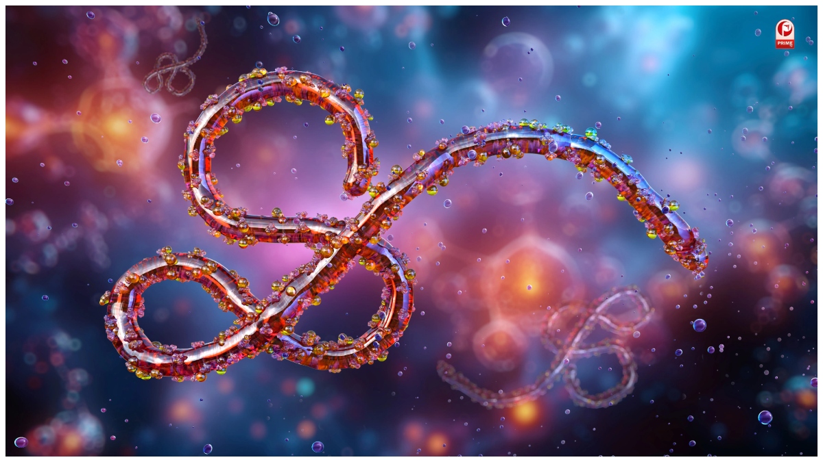 Ebola Virus in Ahmedabad
