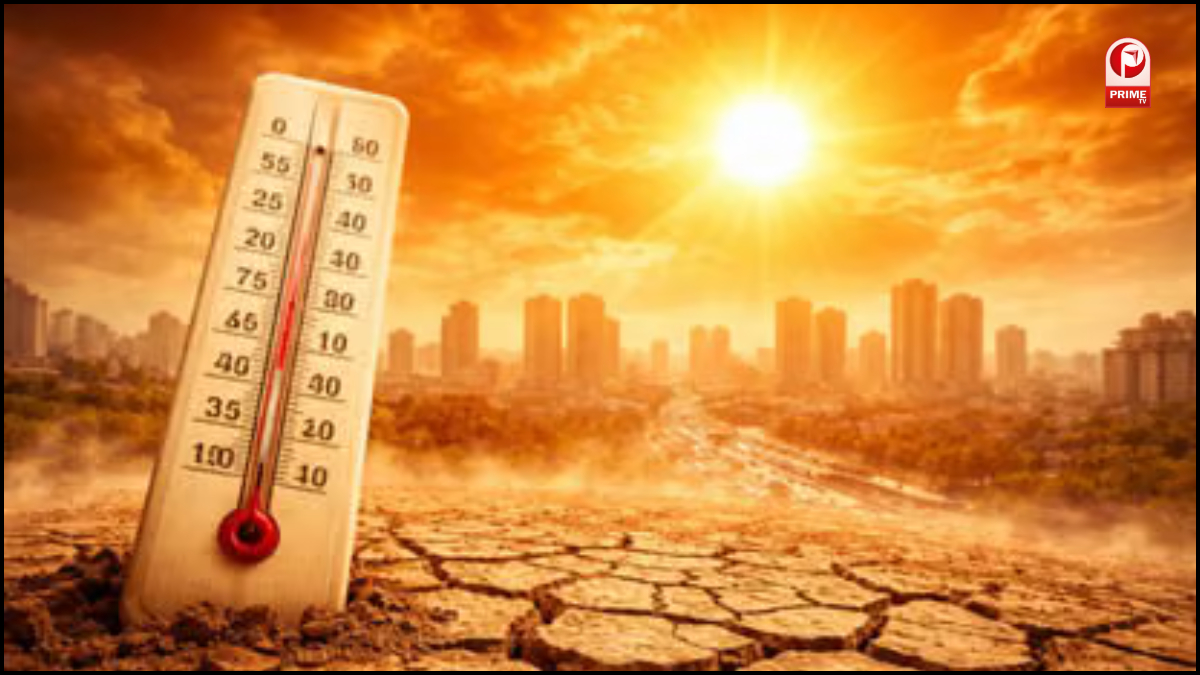 Heat Wave