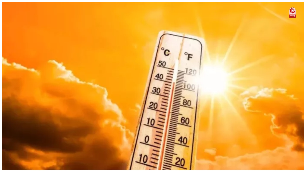 Heatwave Alert
