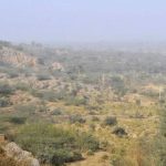 हरियाणा वन विभाग में बड़ा फेरबदल