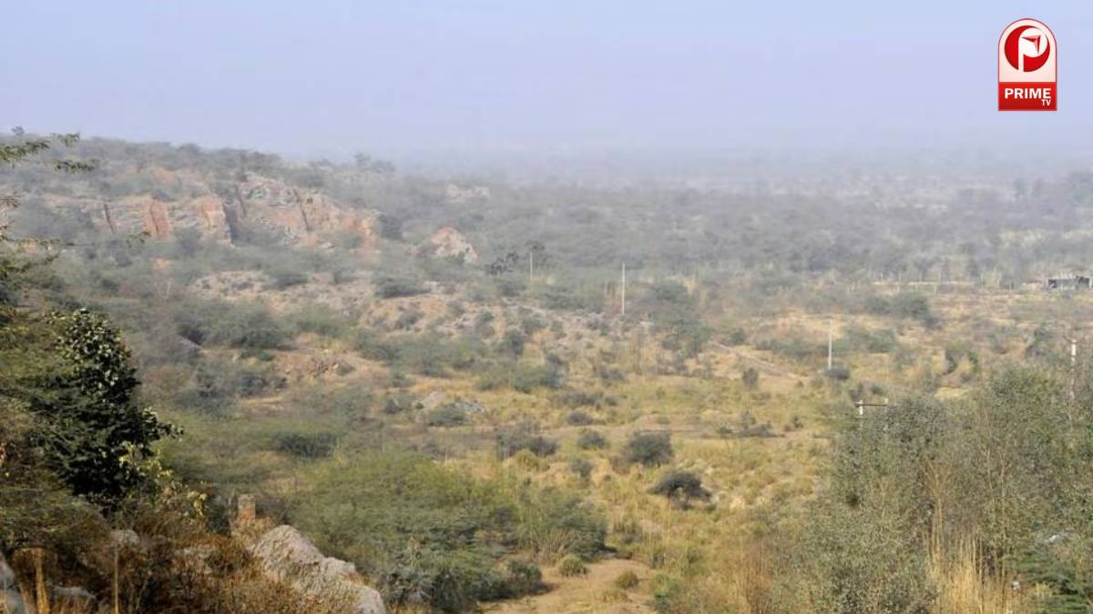 हरियाणा वन विभाग में बड़ा फेरबदल