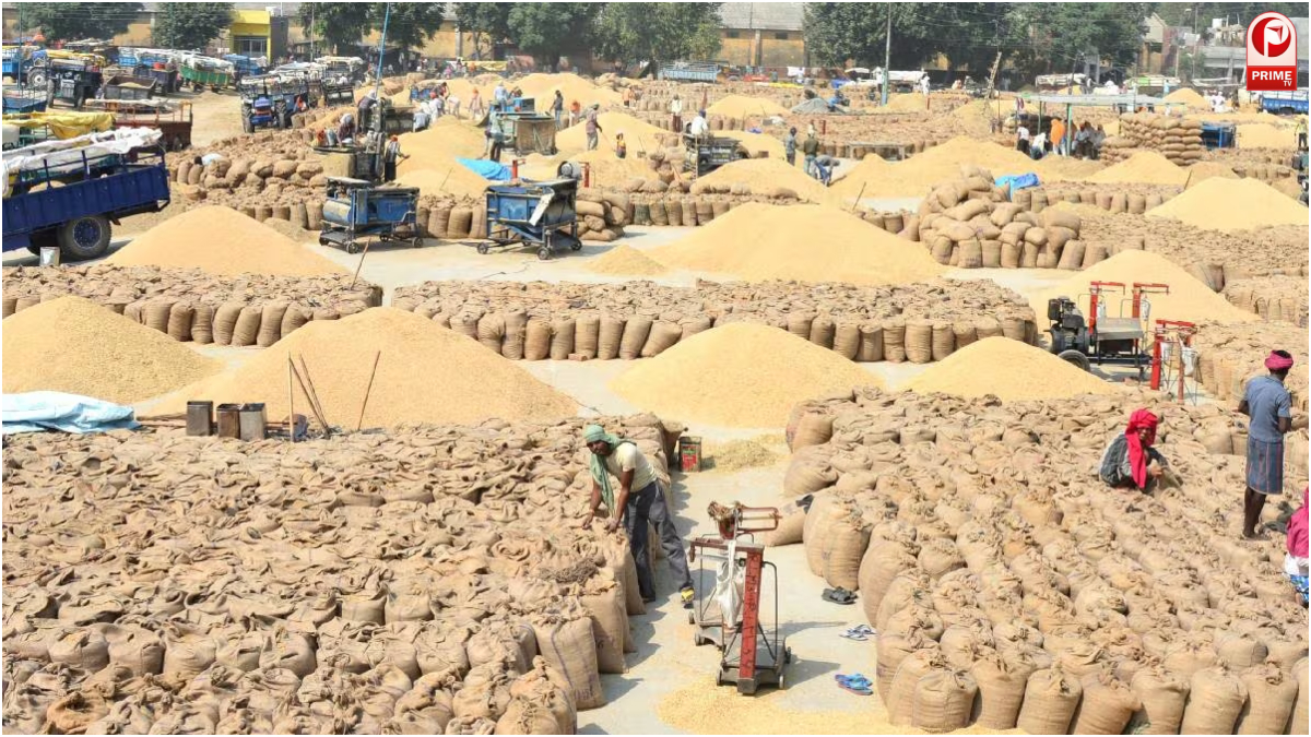 हरियाणा में गेहूं खरीद ने पकड़ी रफ्तार