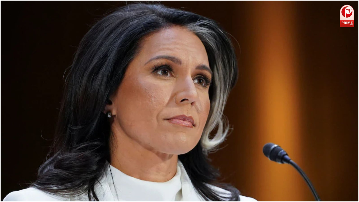 Tulsi Gabbard Resignation