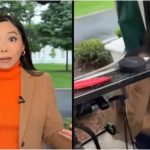 White House Shooting