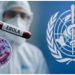 Ebola Virus