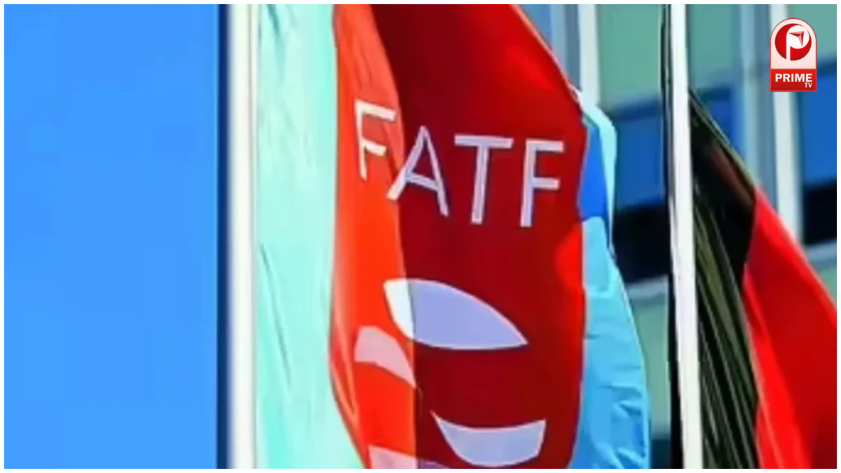 FATF Vice President
