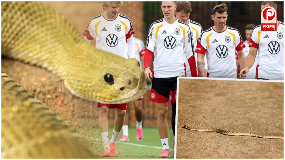 FIFA World Cup 2026