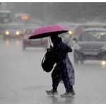 Haryana Weather
