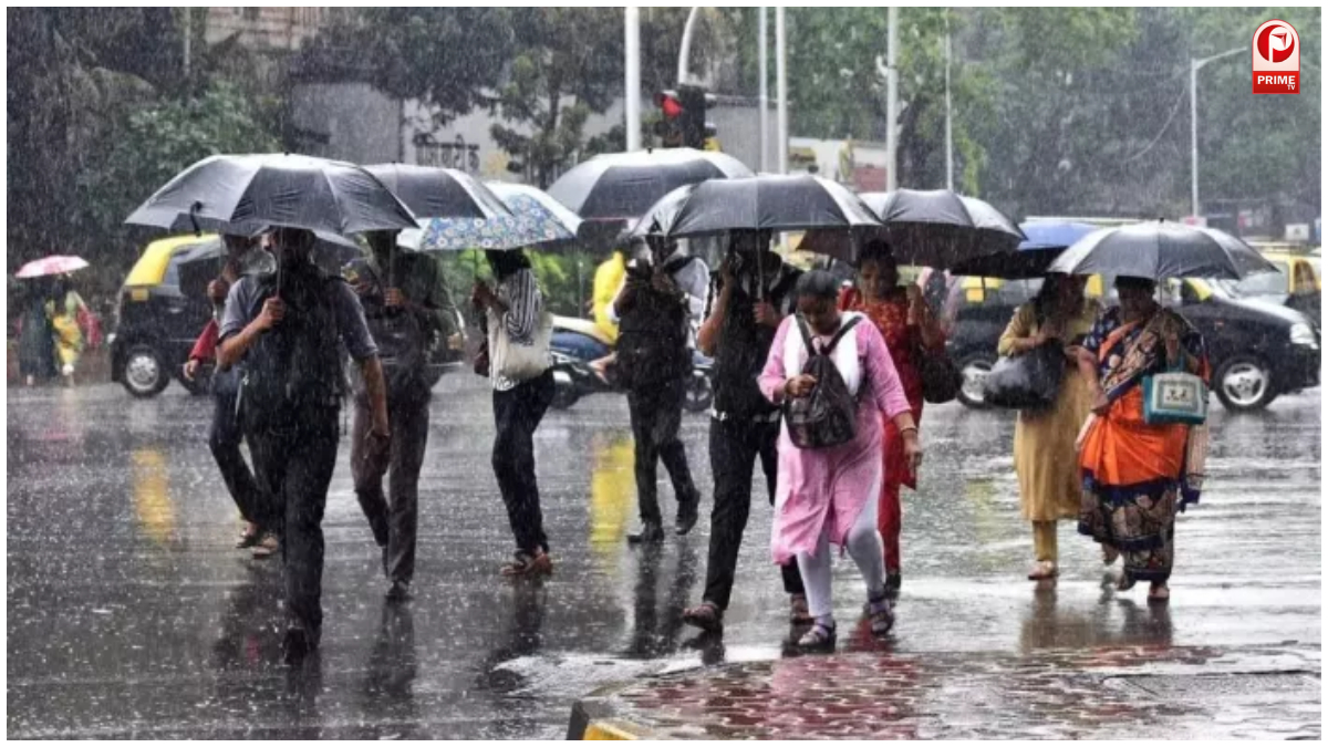 हरियाणा में मौसम ने ली करवट