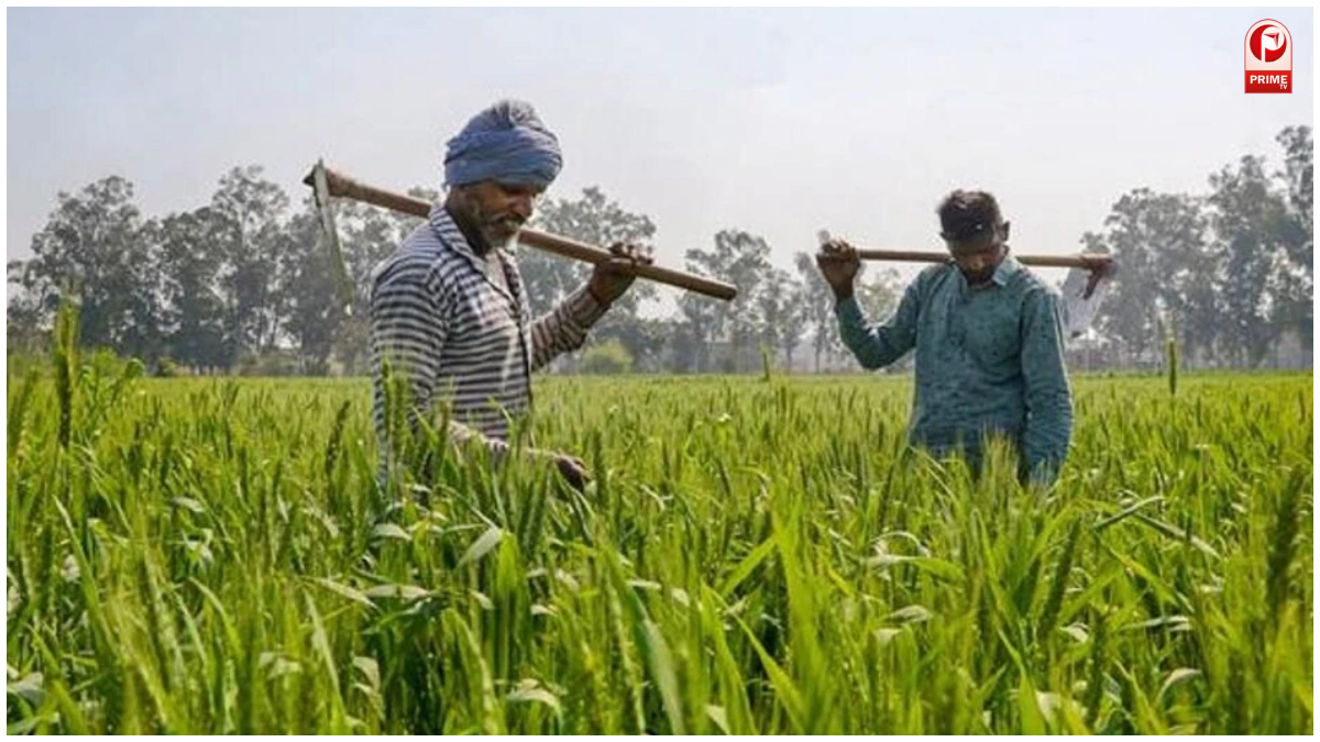 हरियाणा के किसानों के लिए खुशखबरी