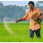 Short Term Crop Loan Scheme