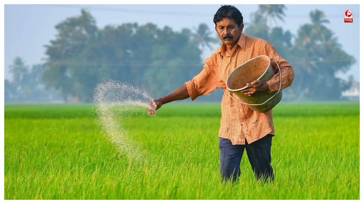 Short Term Crop Loan Scheme
