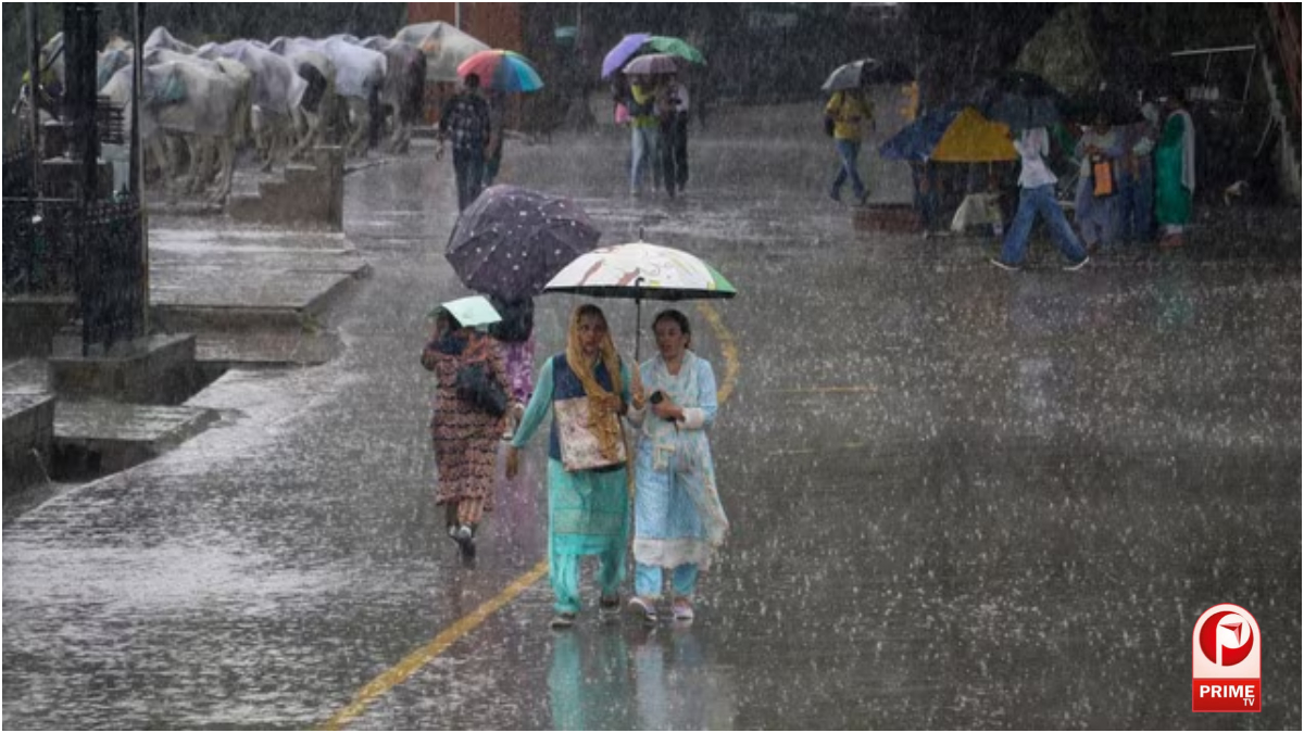 UP Weather News