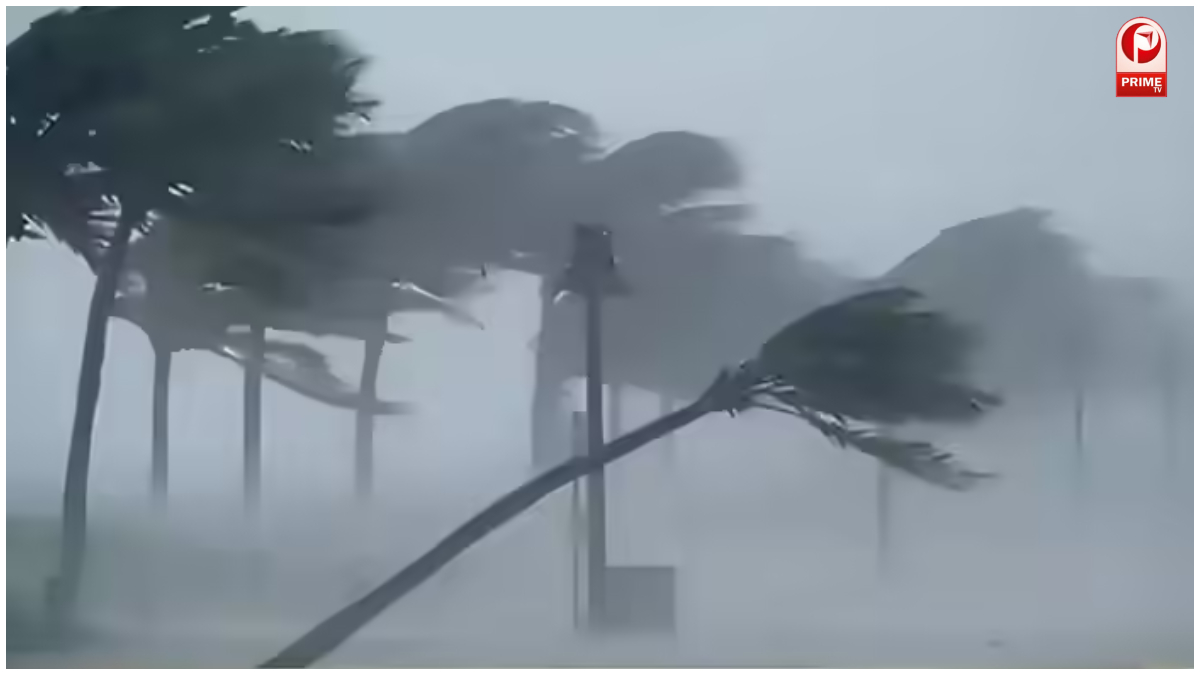 Weather Update