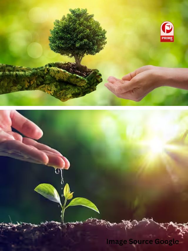 पर्यावरण दिवस