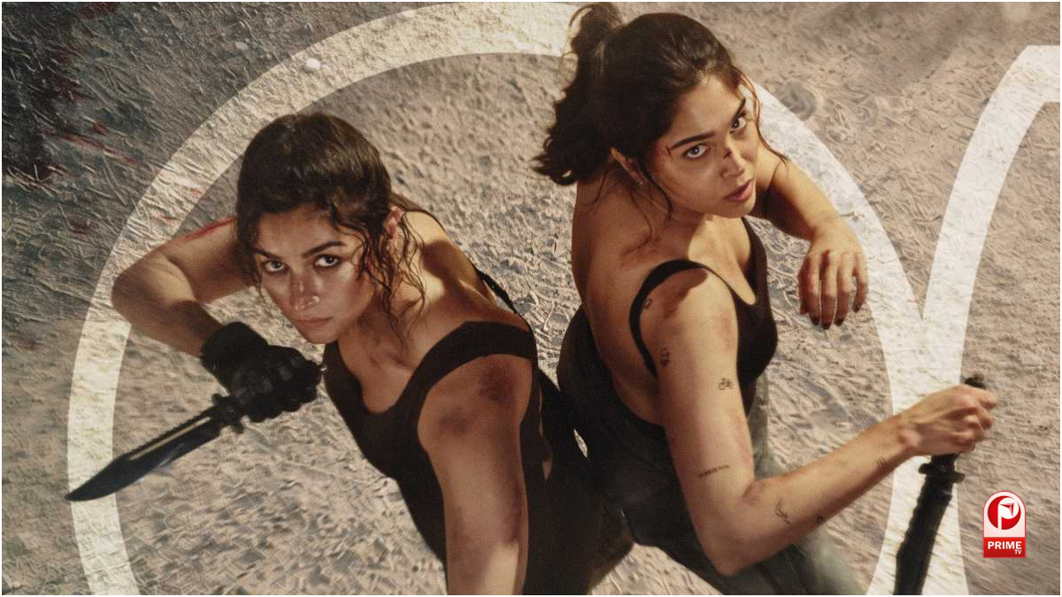 Alpha Box office Collection