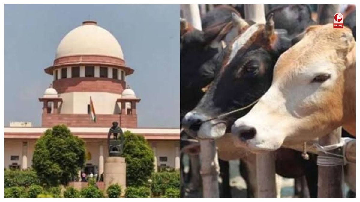 Ban on cow slaughter