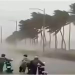 IMD ने बताया कहां होगी सबसे ज्यादा बारिश