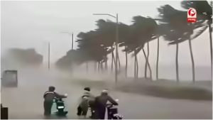 IMD ने बताया कहां होगी सबसे ज्यादा बारिश