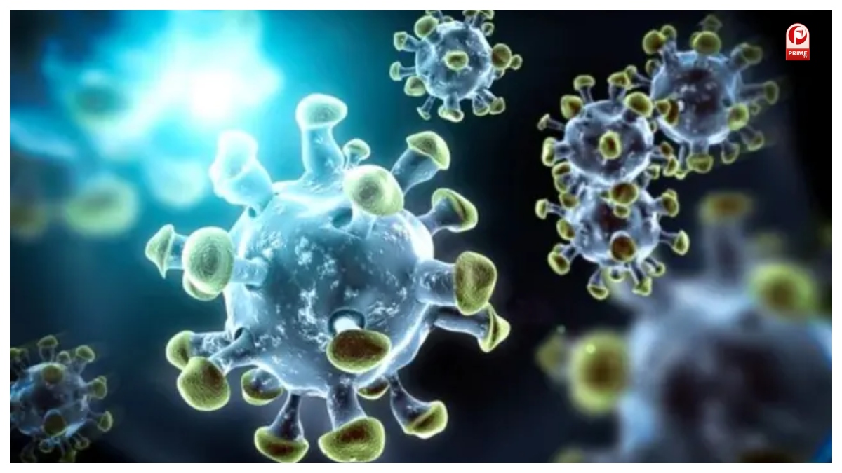 Covid 19 Symptoms
