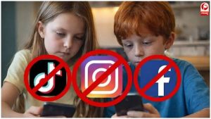 France Social Media Ban