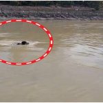 Haridwar